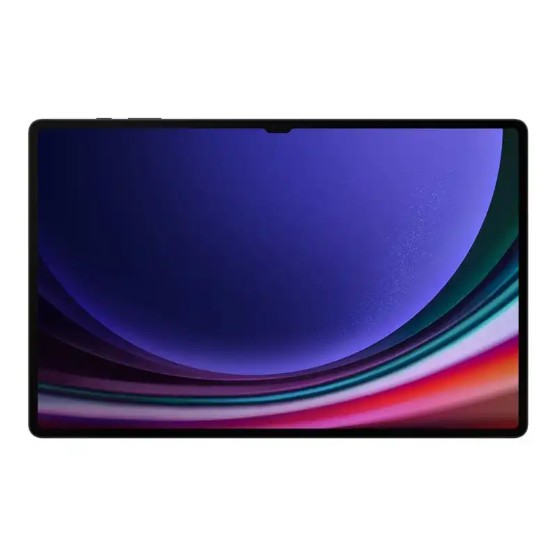 Samsung Galaxy Tab S9 Ultra - Tablette - Android - 512 Go - 14.6" AMOLED dynamique 2X (2960 x 1848) ... (SM-X910NZAEEUB)_1